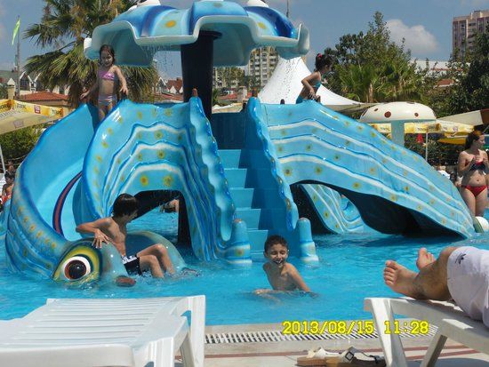 Aqua Club Dolphin